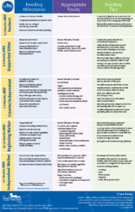 feeding_checklist_english_image
