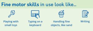 fine_motor_skills_examples
