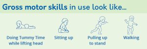 gross_motor_skills_examples