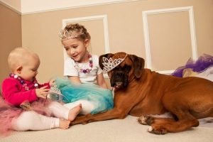 Getting a pet is a great idea to get siblings to play together
