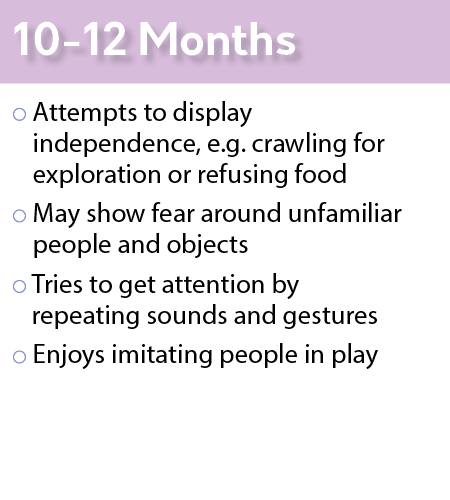 social_emotional_10-12_months